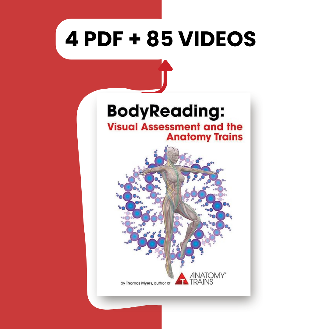 BodyReading: Visual Assessment and the Anatomy Trains 4 PDF + 85 Videos